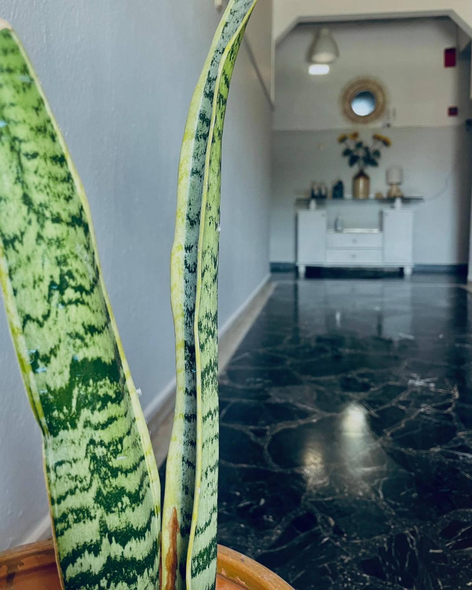 Aktaion Hotel Skala Alykis Eksteriør bilde